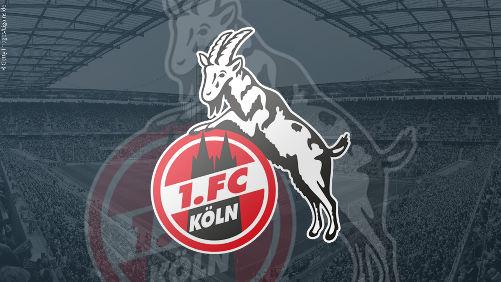 Aufstellung des 1. FC Köln
