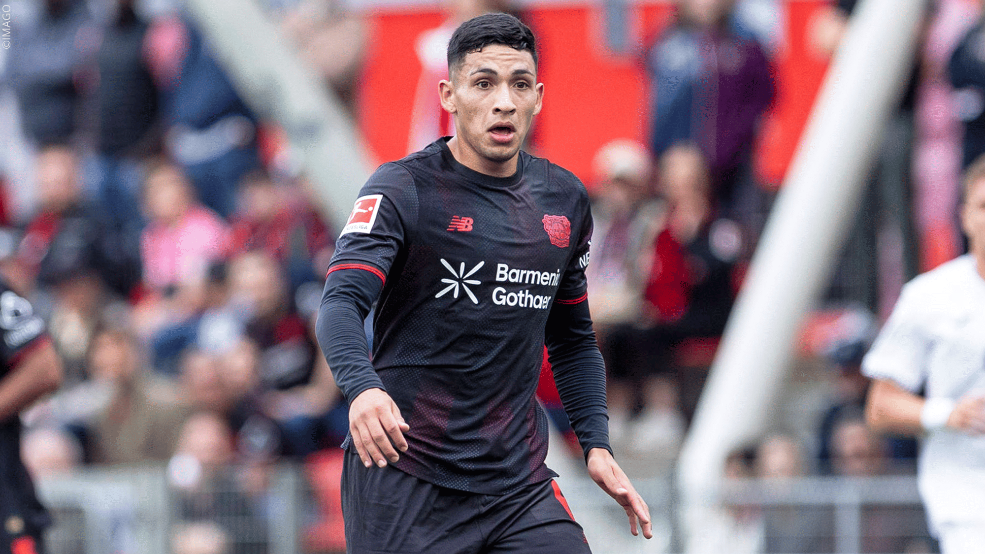 Fernández Injury Update: Latest News & Details