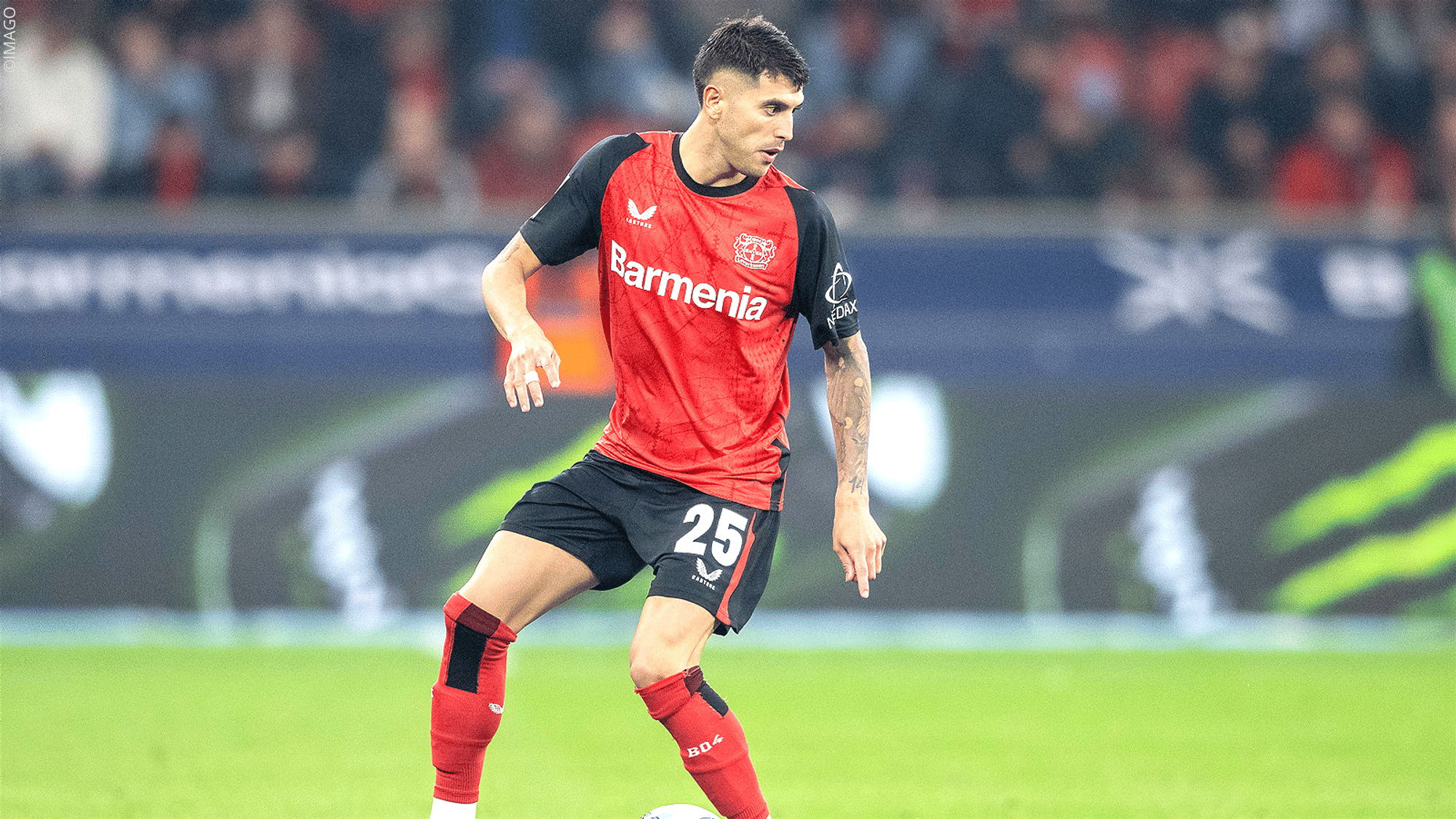 Palacios fällt bis ins neue Jahr aus