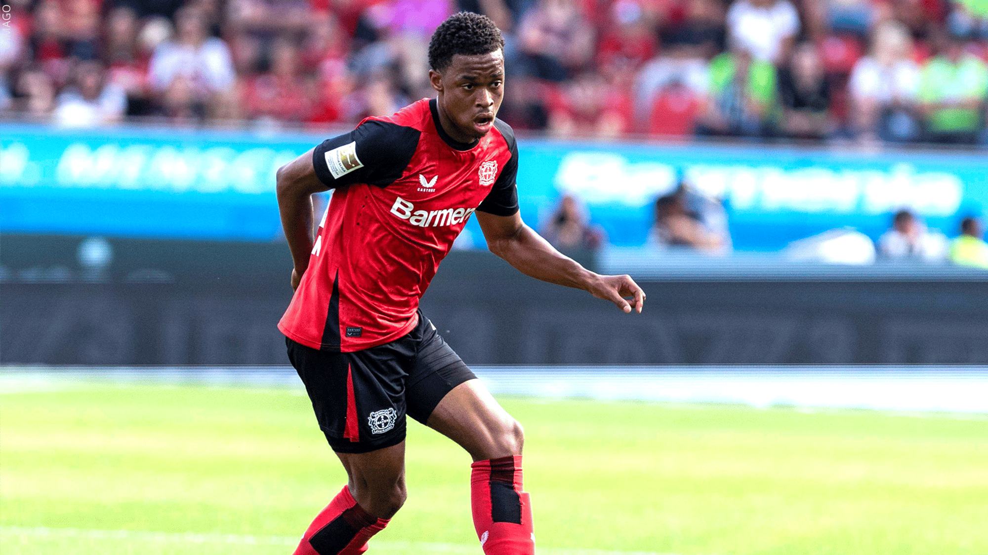 Belocian rückt in Bayers Champions-League-Kader