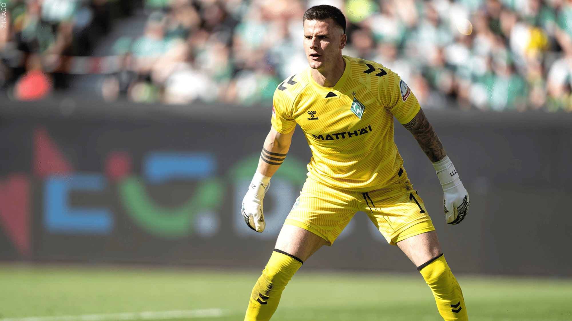 Werder stellt Zetterer frei