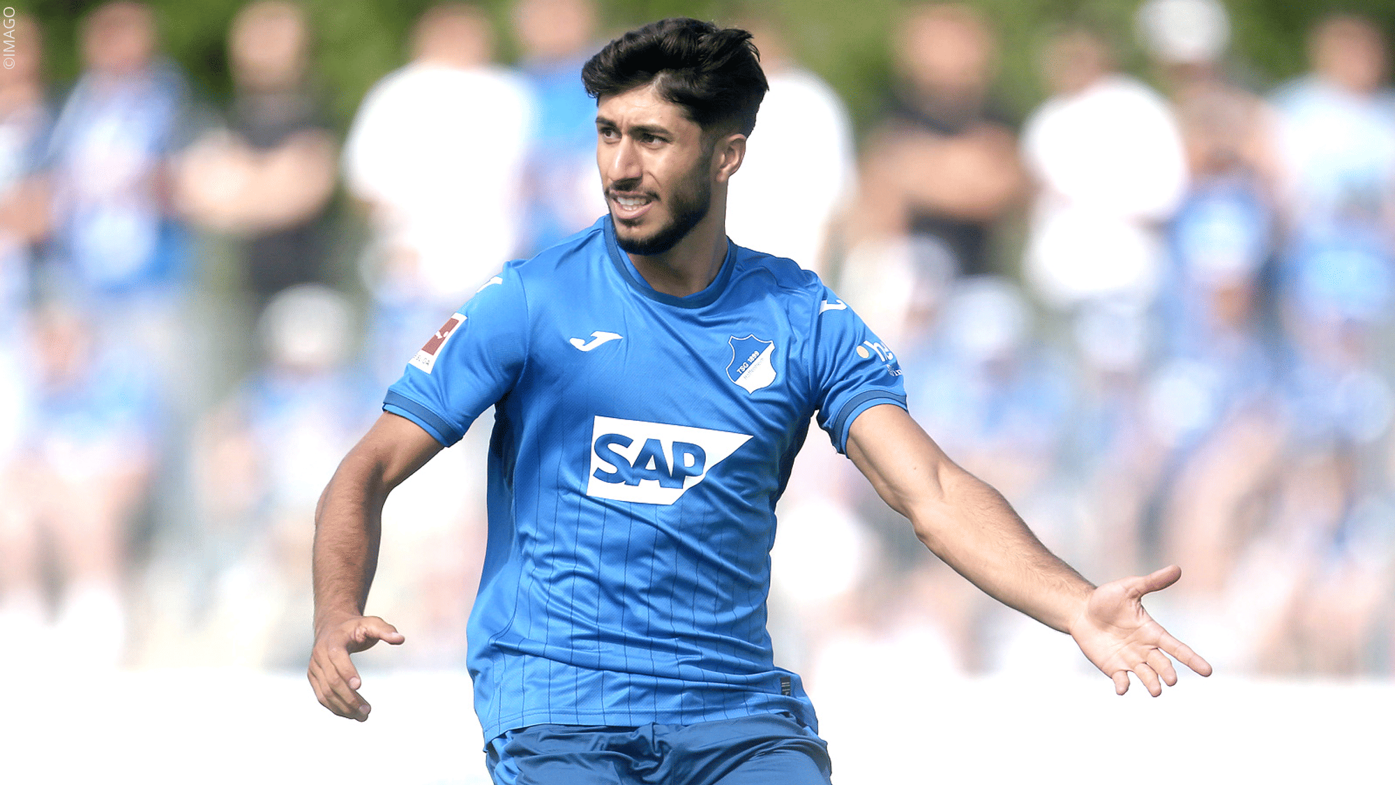 Damar zwischen Lob und Konkurrenz