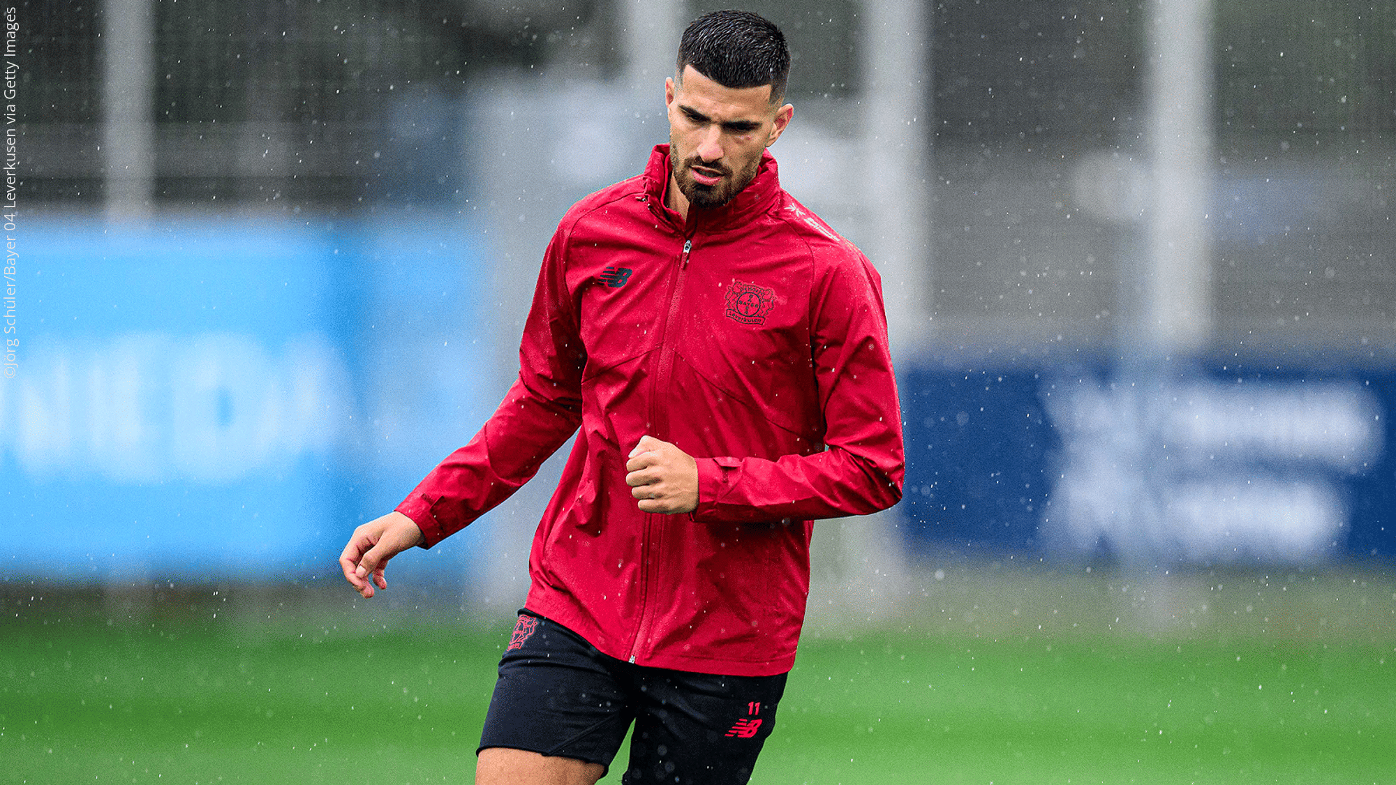 Terrier trainiert wieder voll mit dem Team