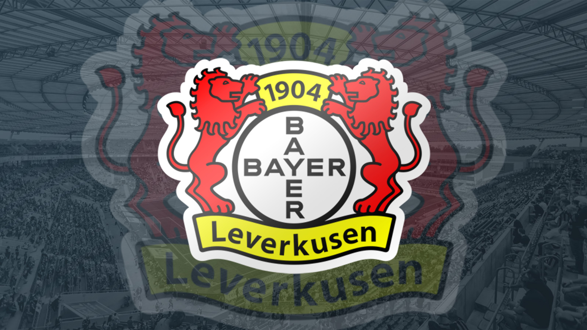 Leverkusen unterliegt zuhause gegen Hoffenheim