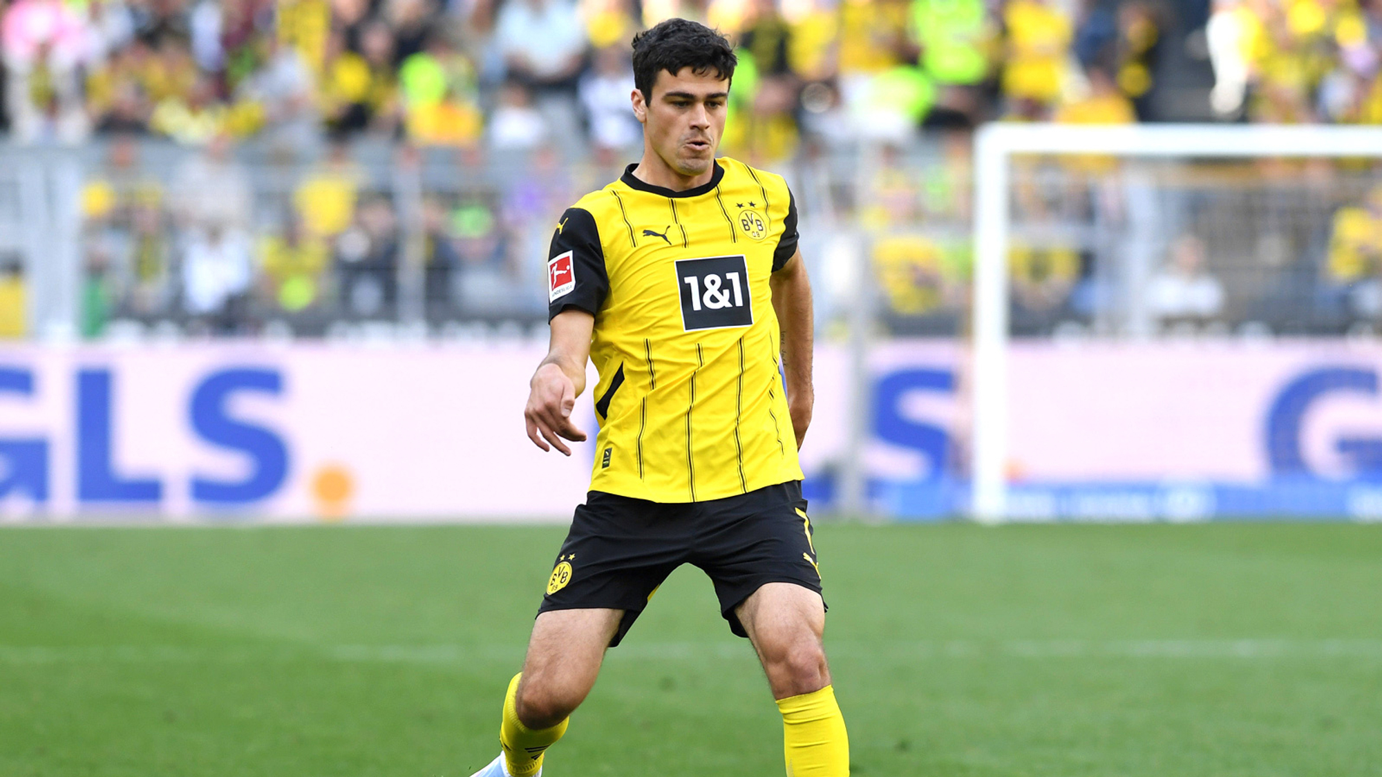 Reyna vor Wechsel nach Gladbach: Einigung mit BVB