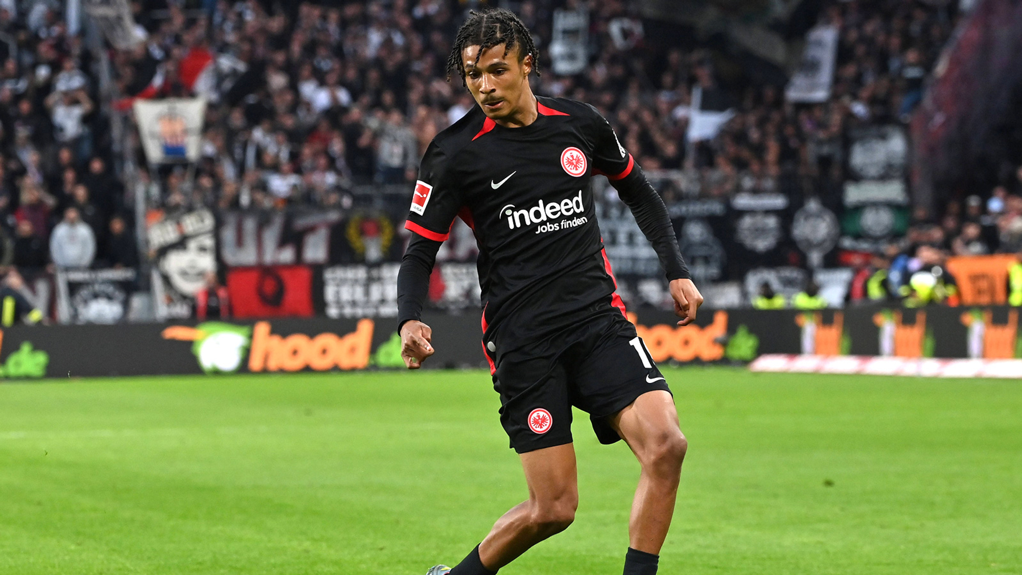 Bahoya-Entwicklung schreitet voran