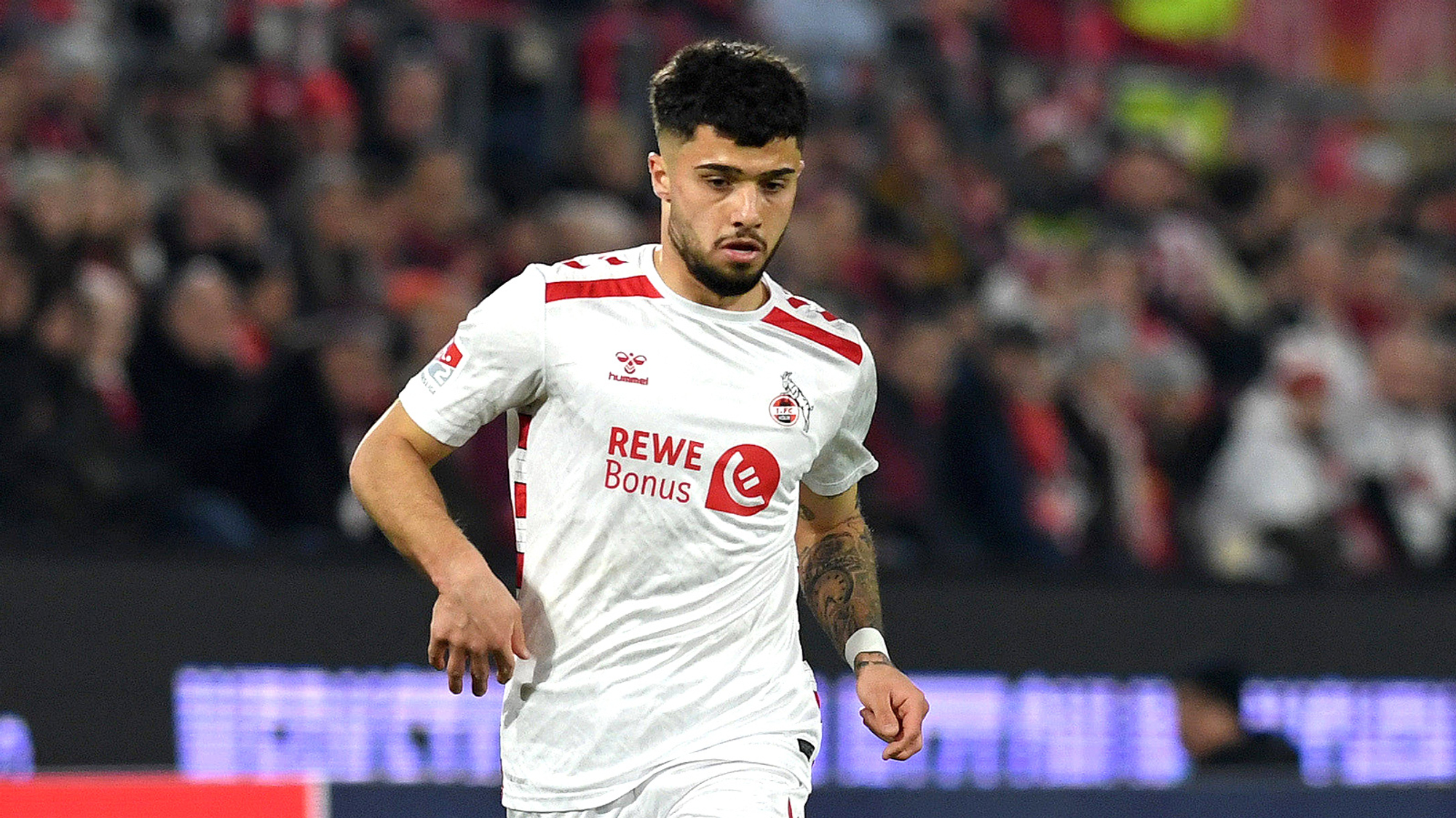 Köln reist ohne Gazibegović zu den Wölfen