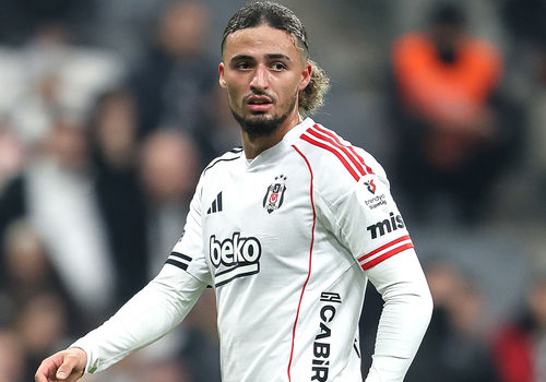 Taylan Bulut