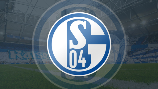 fc-schalke-04-artikelbild-2026.jpg
