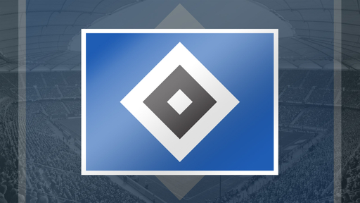 hamburger-sv-artikelbild-2025-v2.jpg