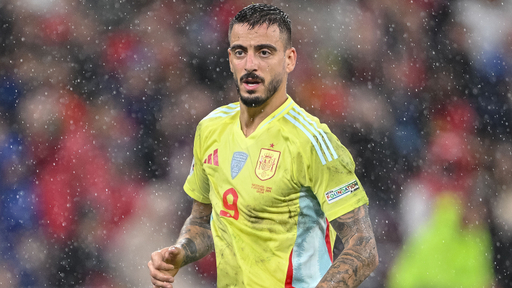 joselu-spanien-24-25.jpg