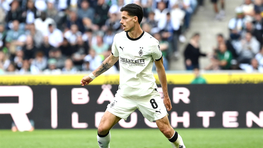 julian-weigl-gladbach-24-25.jpg