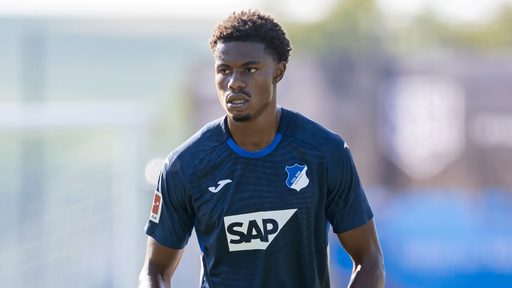 kelven-frees-hoffenheim-25-26.gif