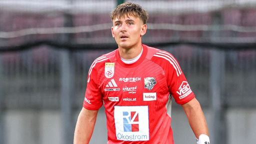 nikolas-polster-wolfsberger-ac-25-26.jpg