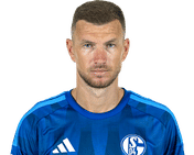 edin-dzeko-schalke-2627.png