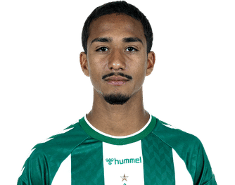 arthur-werder-2627.png