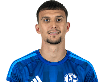dejan-ljubicic-schalke-2627.png
