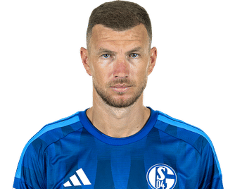 edin-dzeko-schalke-2627.png