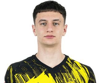 luca-reggiani-bvb-25-26-getty.png