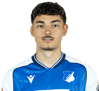 sean-dulic-hoffenheim-2627.png