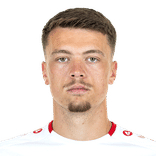 Dzenan Pejcinovic
