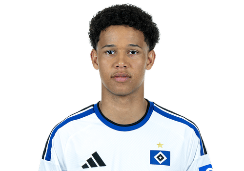 Alexander Rössing-Lelesiit