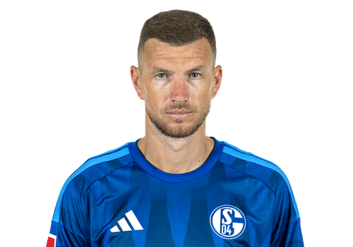 Edin Dzeko