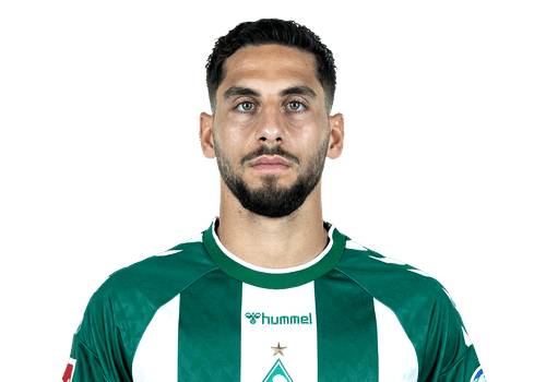 Ludovit Reis