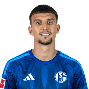 dejan-ljubicic-schalke-2627.png