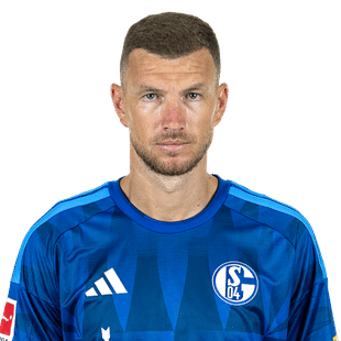 edin-dzeko-schalke-2627.png