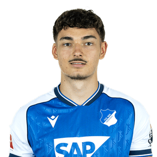 sean-dulic-hoffenheim-2627.png