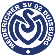 MSV icon