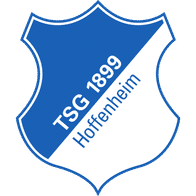 TSG icon