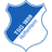 TSG Hoffenheim icon